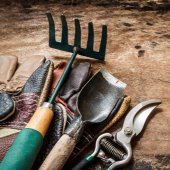 Image of garden tools and supplies.