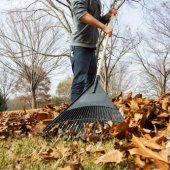 Image of man raking leaves.