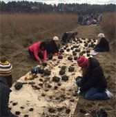 Volunteers on the ground plug planting at Butterfly Landing.