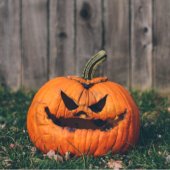 Image of rotting pumpkin.