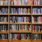 Image of books on a shelf