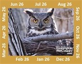 Photo of an owl on a vehicle permit sticker.