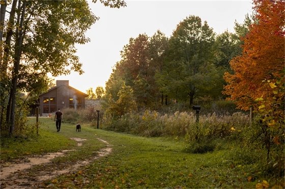 Man walking a dog among fall trees on a trail  outside.