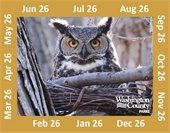 Photo of a Parks Vehicle Permit with an owl.