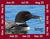 Photo of a Parks Vehicle Permit with a red border and a loon in the water with a fish in it's mouth.