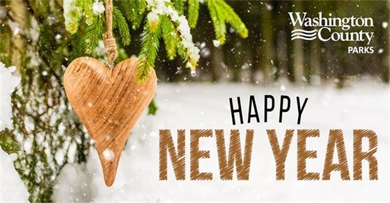 Graphic that says "Happy New Year".