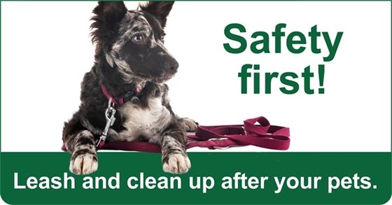 Graphic with a dog on a leash and text that says "Safety First! Leash and clean up after your pets.".
