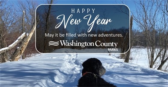 Graphic that says "Happy New Year".