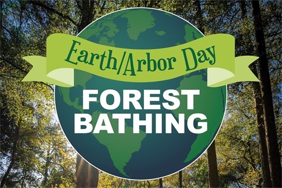 Graphic that says "Earth/Arbor Day Forest Bathing"