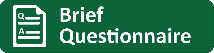 Brief Questionnaire