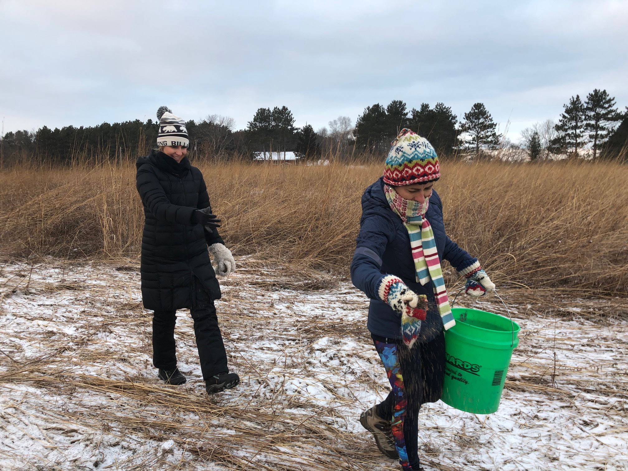 Pine Point volunteers seeding