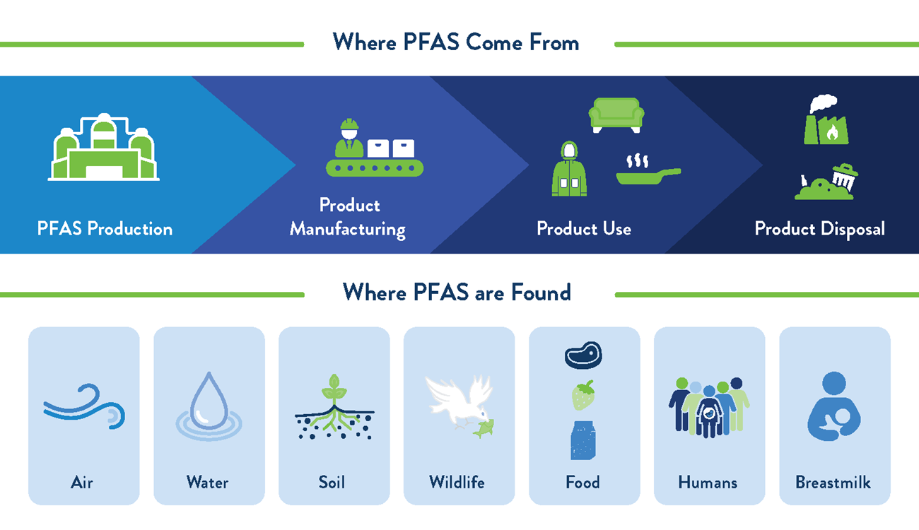 Graphic showing where PFAS comes from and where it can be found.